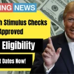 $2000 stimulus check 2025