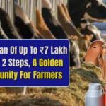 Dairy Farm Business Loan