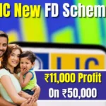 LIC FD Scheme