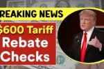 Tariff Rebate Checks